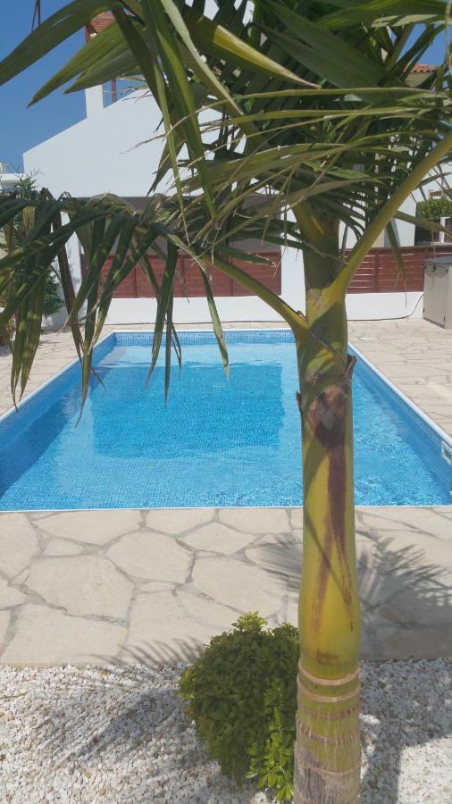 Modern Villa, 4 Bedrooms, Private Pool, Close To Coral Bay Strip Pegeia Eksteriør billede